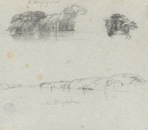 Schizzi di alberi, viti e una riva del Rio Magdalena, Colombia